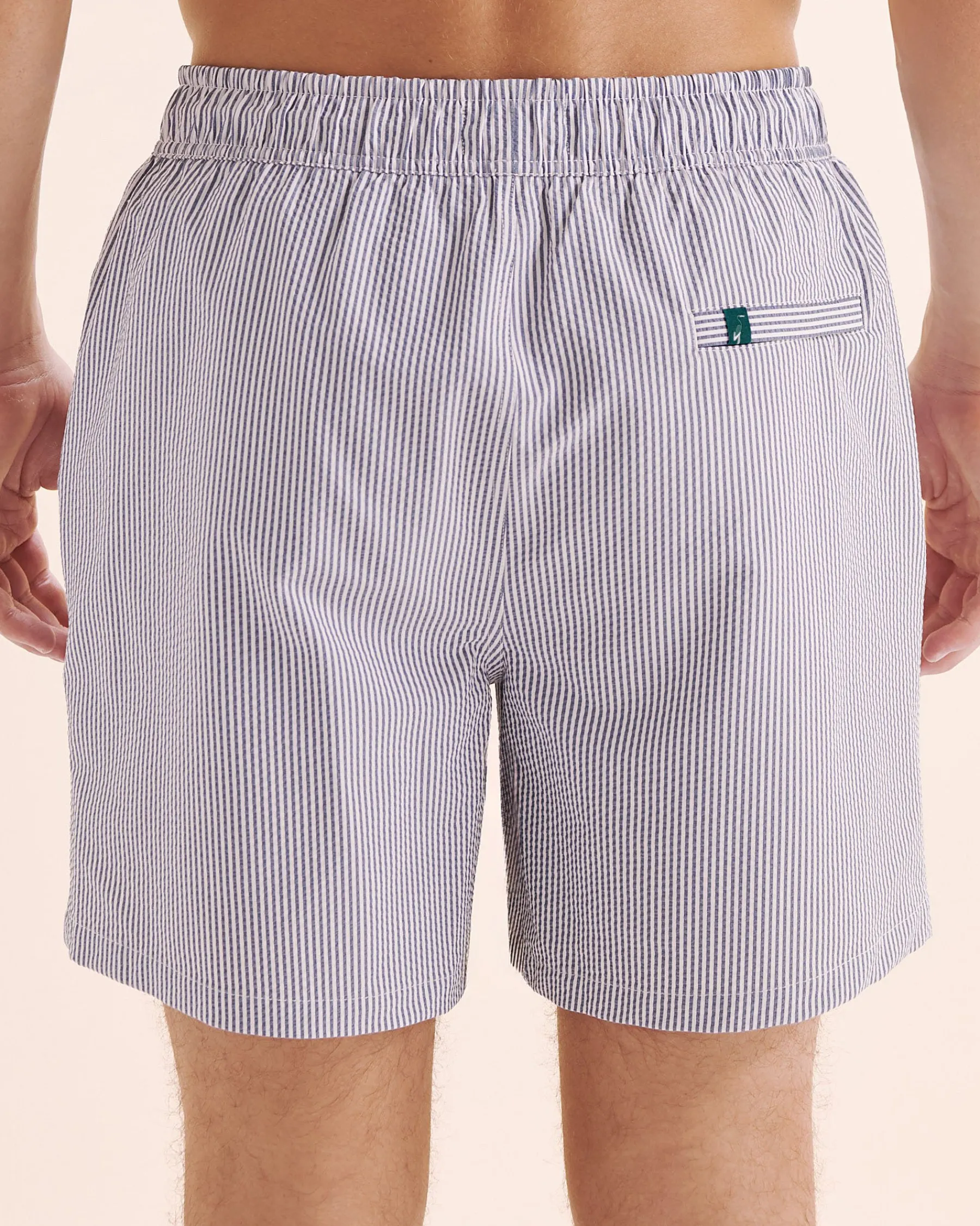 Seersucker Long Liner Volley Swimsuit* Volley Shorts